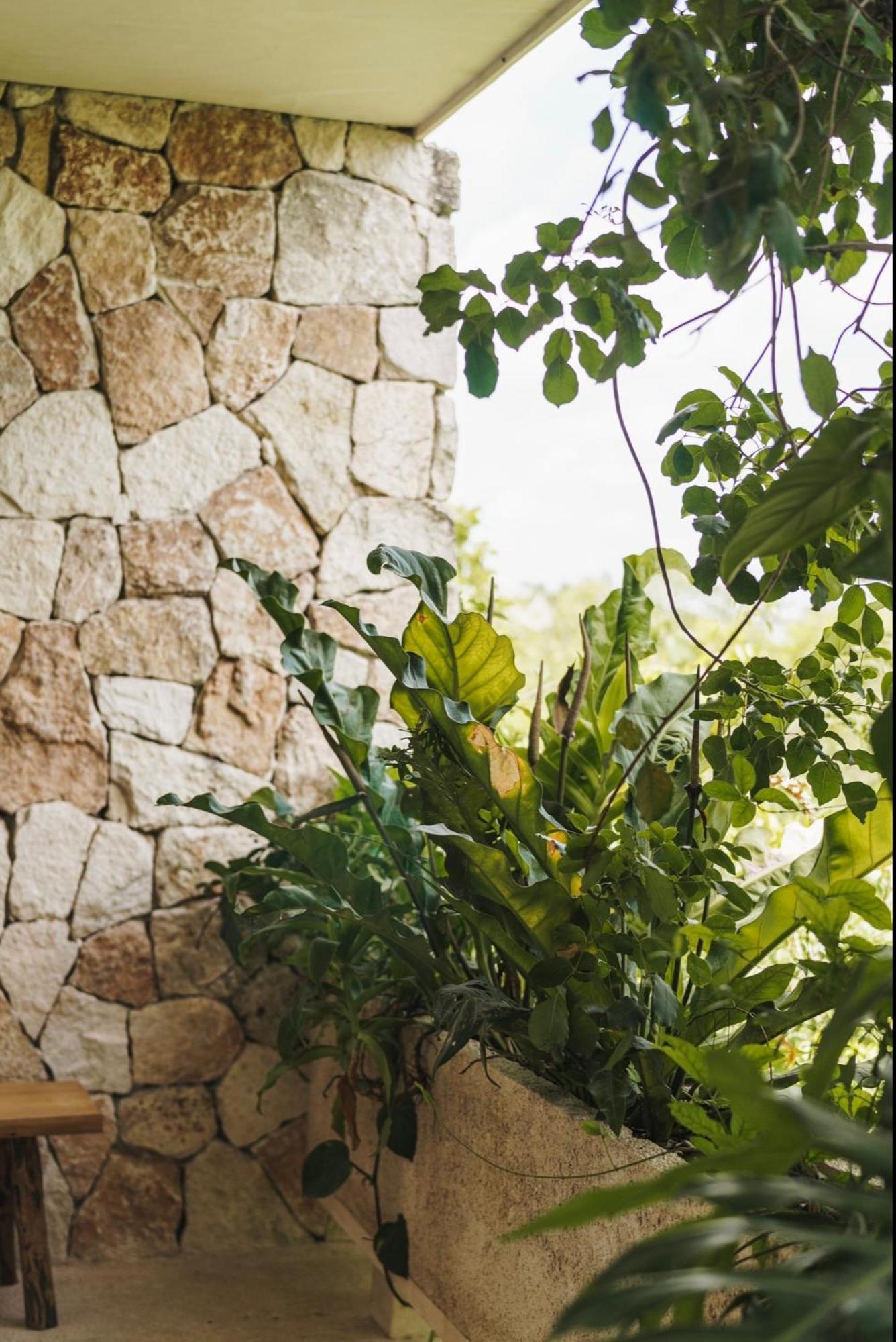 Apartament Teva Tulum, Aldea Zama Zewnętrze zdjęcie