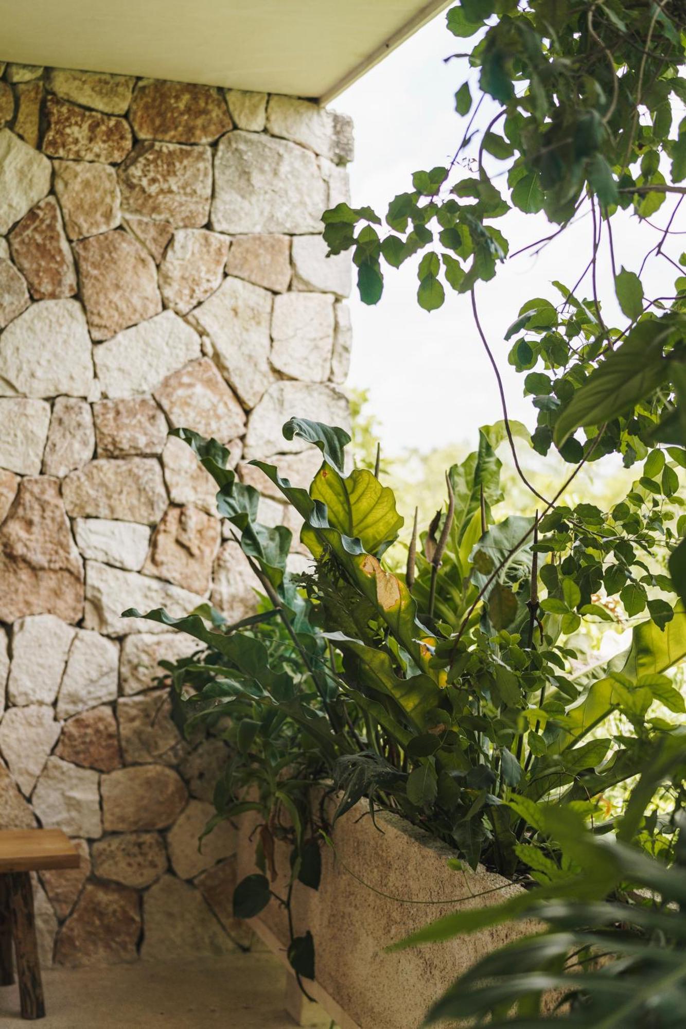 Apartament Teva Tulum, Aldea Zama Zewnętrze zdjęcie